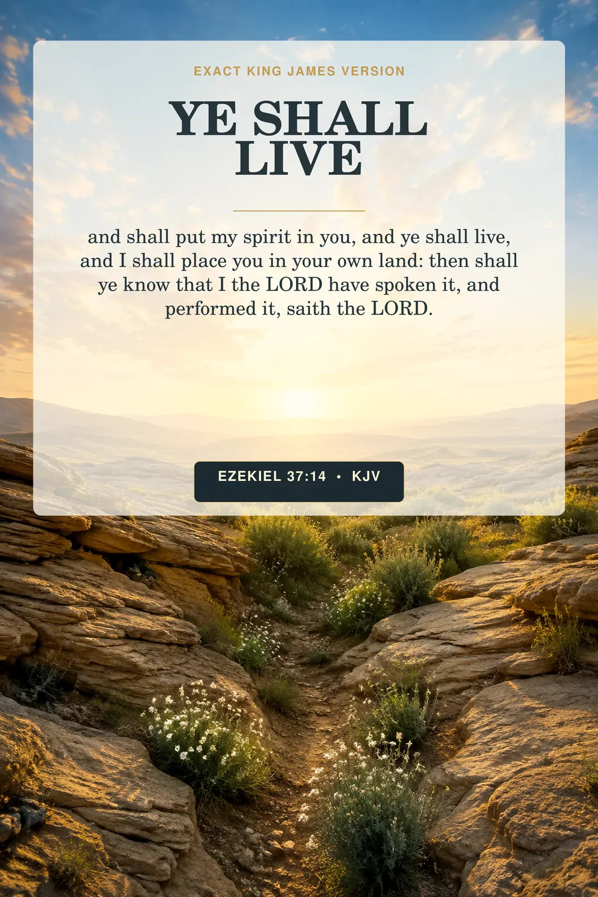 Ezekiel 37:14 KJV Ye Shall Live printable showing a quiet desert fissure opening into blooming grasses and small white flowers beneath a wide sunrise, without bones or human figures.